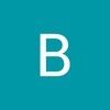 bisonobrensy